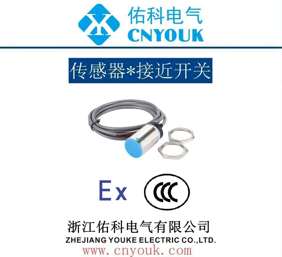 BF2 电容式接近开关